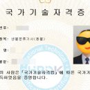 해녀맥반석 가리비