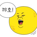 털보네회포차 네이버블로그