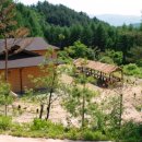 풀잎향기 이미지