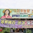 현주농장 이미지