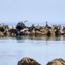 신남공원 이미지