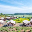 비비오토캠프 이미지