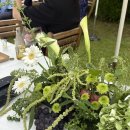 세븐일레븐 대구황금힐스테이트점 이미지