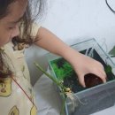 무태파출소 앞 이미지