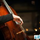 첼로 1:1 맞춤레슨 이미지