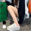 977 이미지