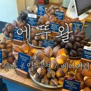 고숩 | [에뚜왈] 신사 / 가로수길 / 마들렌 / 휘낭시에 / 추천 / 내돈내산 / 솔직후기