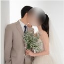 결혼 준비 6. 거제 슈슈블랑 스튜디오 웨딩촬영 후기