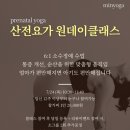 12주 요가 클래스 네이버블로그