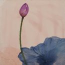 연꽃향기 이미지