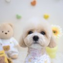 새선영미용실