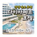 양양전통시장 | 양양 다이아메르호텔 숙박 후기｜양양전통시장 먹거리 오징어순대 꽈배기 먹방