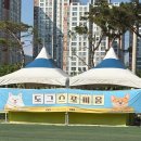 도그 스포지움 | 양주 강아지 수영장 도그스포지움 후기 ! 주말 힐링 완료