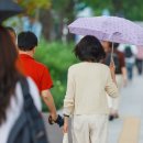 [오늘의 날씨] 말복인 주말, 남부·제주 집중호우…전남 해안 200㎜↑ 이미지