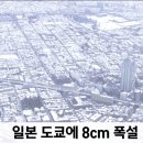 컴포즈커피울산언양읍성점