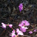 부산농원민박 이미지