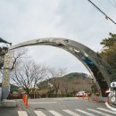 선암중앙로 네이버블로그
