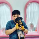 소풍동물병원 이미지