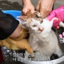 세신샵 수련 이미지