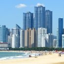 해운대해수욕장 이미지