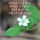 요한계시록 16장 일곱재앙와 아마겟돈 전쟁 이미지