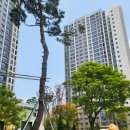 수푸르지오공인중개사사무소 이미지