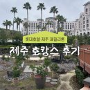 오라2동 제주아트센터 주차장 내 | 제주 롯데호텔 호캉스 후기, 본관 프리미어 패밀리룸 내돈내산(룸컨디션, 가격, 부대시설)