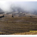 숲길민박 이미지