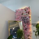 명가인셀덤 이미지