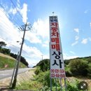 고미낙지 이미지