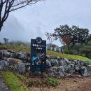 봉학골산림욕장 | [음성 가볼만한곳]봉학골산림욕장 핑크 뮬리 후기