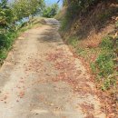 이상은농장 이미지