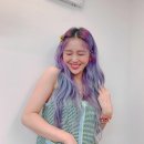보라미미