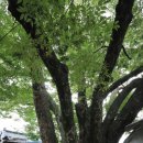 광산여관 이미지