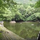 사상-교통-019 이미지