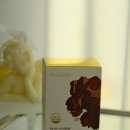 뉴올리브 - 사하구 하신중앙로 341 | 뉴벨라 글루타치온 프로 올리브 후기, 데일리 케어로 선택한 이유