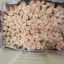 10.3.fri ＜토지16＞ S-클래스(수랩-서희-삼수) 이미지