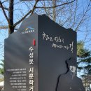 수성유원지(상화동산) | 대구 수성유원지 벚꽃 개화 현황 / 낮부터 야경까지! 수성못 당일치기 코스 완벽 정리