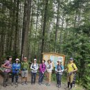 9월7일 토요산행 앨범. Blanca Lake trail. 이미지