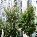 하남대로 이미지