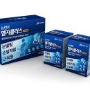 지플러스