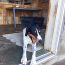 민기목장 이미지