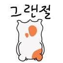202 | [숙소] 양평 풀빌라 림펜션 202호 후기!