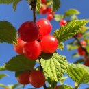 장소미정 이미지