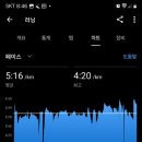 의성종합운동장 이미지