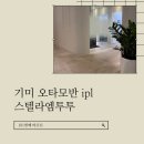 성복동 | 용인 성복동피부과 기미 ipl후기 :: 스텔라엠투투 레이저