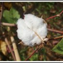 종업농장 이미지