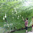 안동호반자연휴양림 이미지