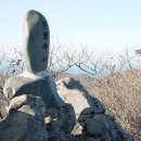 순천-04호 Daum카페
