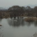 청천배수펌프장 이미지